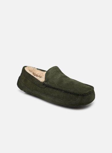 Chaussons UGG Ascot pour Homme - UGG - Modalova