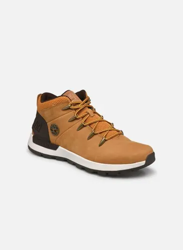 Baskets Sprint Trekker Mid pour - Timberland - Modalova