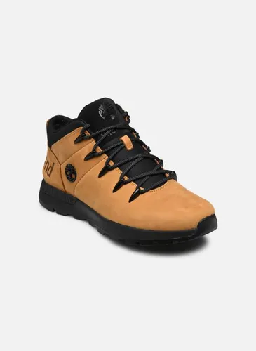 Baskets Sprint Trekker Mid pour - Timberland - Modalova