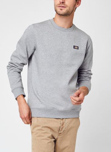 Vêtements Oakport Sweatshirt pour Accessoires - Dickies - Modalova
