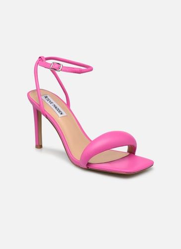 Sandales et nu-pieds ENTICE pour - Steve Madden - Modalova