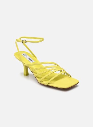 Sandales et nu-pieds AGLOW pour - Steve Madden - Modalova