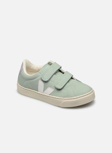 Baskets Small Esplar Velcro Nubuck pour Enfant - Veja - Modalova