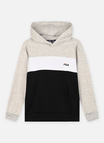 Vêtements BAKESFIELD blocked hoody pour Accessoires - FILA - Modalova