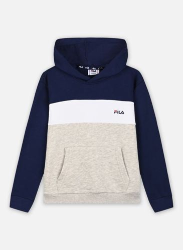 Vêtements BAKESFIELD blocked hoody pour Accessoires - FILA - Modalova