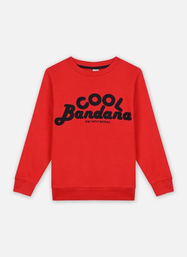 Vêtements Baigre - Sweatshirt - Garçon pour Accessoires - Petit Bateau - Modalova