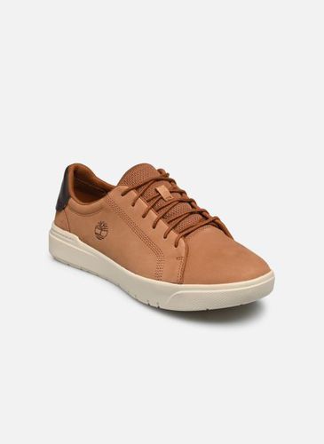 Baskets Seneca Bay Oxford pour - Timberland - Modalova