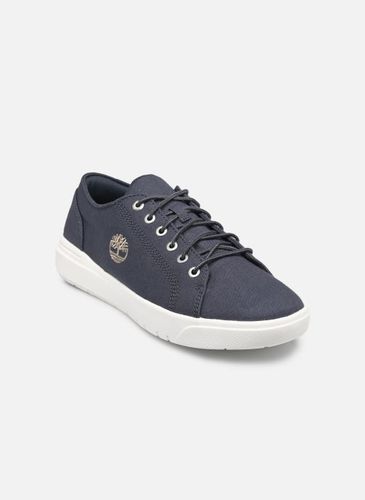 Baskets Seneca Bay Oxford pour - Timberland - Modalova