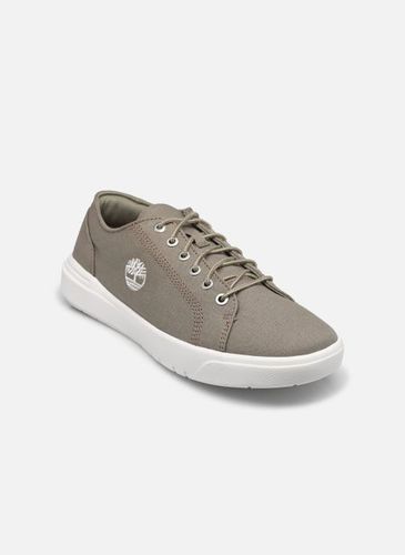 Baskets Seneca Bay Oxford pour - Timberland - Modalova