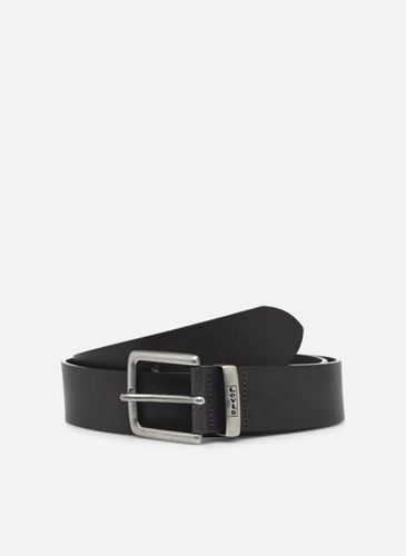 Ceintures NEW ALBERT pour Accessoires - Levi's - Modalova