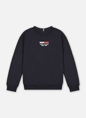 Vêtements Flag Logo Sweatshirt pour Accessoires - Tommy Hilfiger - Modalova