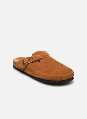 Chaussons Olivier Collection - Scholl - Modalova