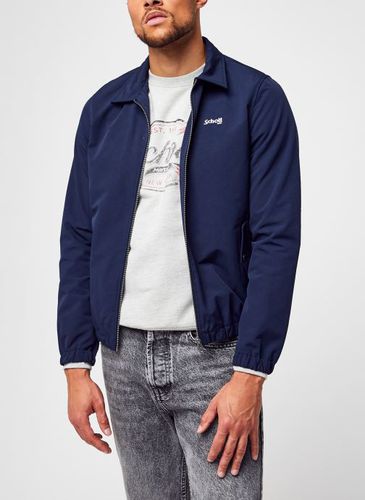 Vêtements Benny pour Accessoires - Schott - Modalova