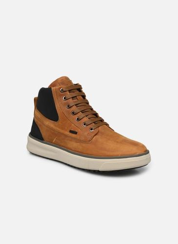 Chaussure geox homme marron hot sale