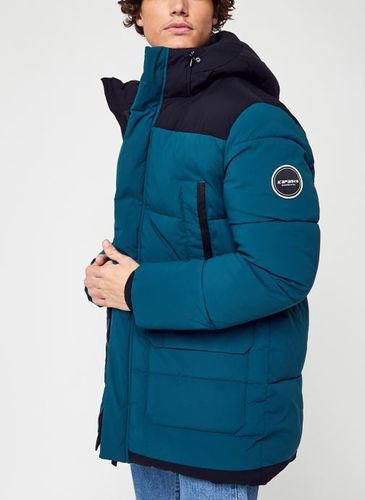 Vêtements Avondale pour Accessoires - Icepeak - Modalova