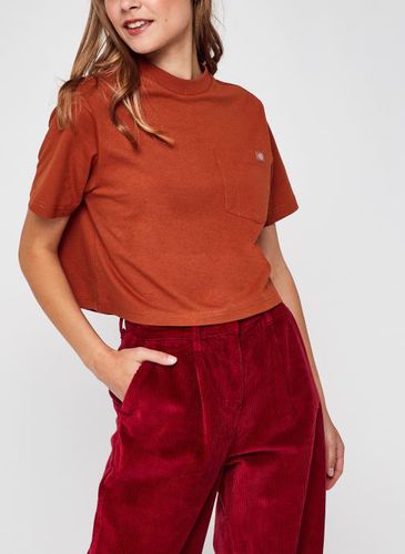 Vêtements Ss Porterdale Crop W Gingerbread pour Accessoires - Dickies - Modalova