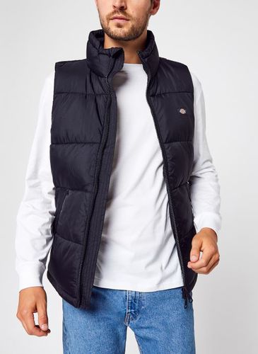 Vêtements Waldenburg Vest Black pour Accessoires - Dickies - Modalova