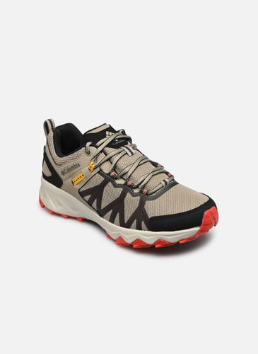 Chaussures de sport Peakfreak II Outdry M pour - Columbia - Modalova