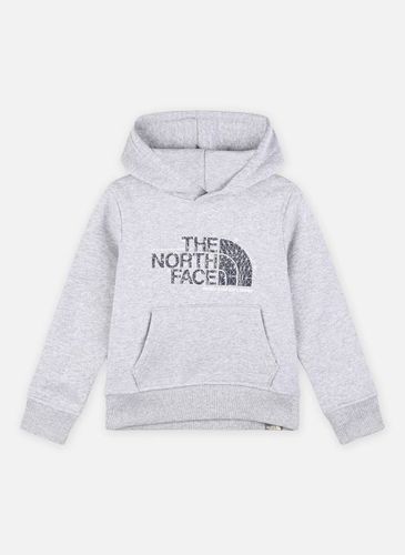 Vêtements Teens Drew Peak P/O Hoodie pour Accessoires - The North Face - Modalova