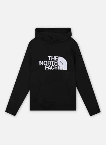 Vêtements Drew Peak PO Hoodie pour Accessoires - The North Face - Modalova