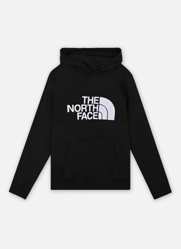 Vêtements Drew Peak PO Hoodie pour Accessoires - The North Face - Modalova