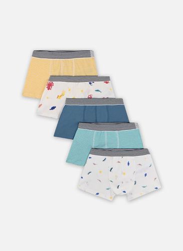 Vêtements 5 Boxers A074X00 pour Accessoires - Petit Bateau - Modalova