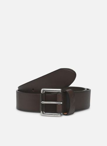 Ceintures Polo Keep Bt-Belt-Medium pour Accessoires - Polo Ralph Lauren - Modalova