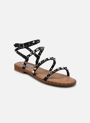 Sandales et nu-pieds Travel - Steve Madden - Modalova