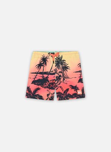 Vêtements Paradise 14 B Jamv Gcz6 pour Accessoires - Quiksilver - Modalova