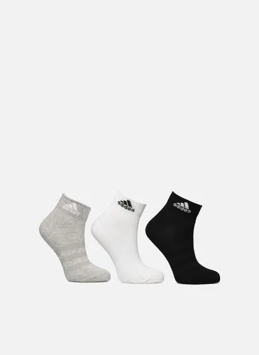 Chaussettes et collants T Spw Ank 3P pour Accessoires - adidas sportswear - Modalova