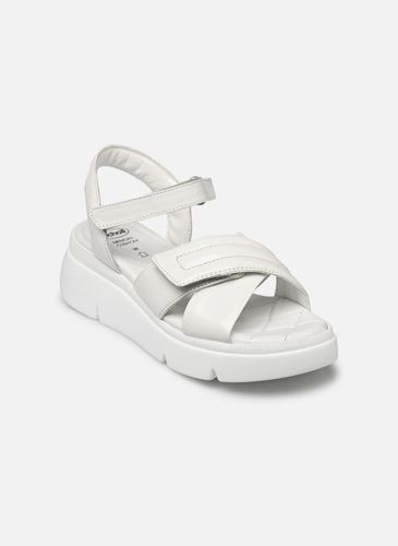 Sandales et nu-pieds BALI CROSS SANDAL COMFORT pour - Scholl - Modalova