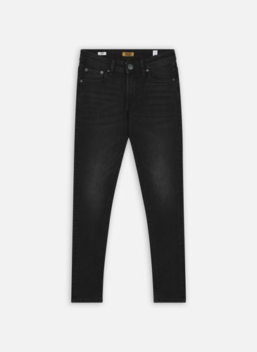 Vêtements Jjiliam Jjoriginal Mf 073 Noos Jnr pour Accessoires - Jack & Jones - Modalova