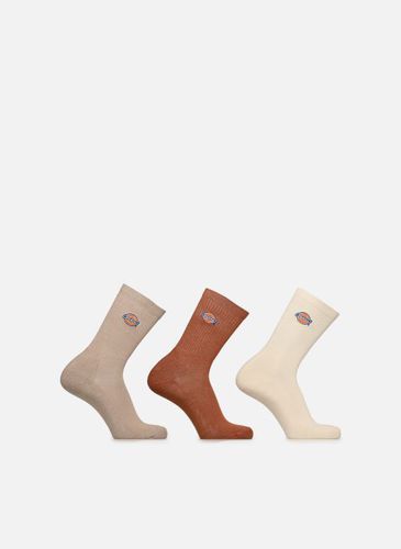 Chaussettes et collants Valley Grove pour Accessoires - Dickies - Modalova