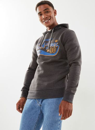 Vêtements Jjelogo Sweat Hood 2 Col 23/24 Noos pour Accessoires - Jack & Jones - Modalova