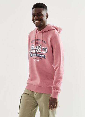 Vêtements Jjelogo Sweat Hood 2 Col 23/24 Noos pour Accessoires - Jack & Jones - Modalova