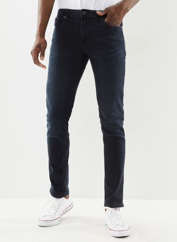 Vêtements Jjiglenn Jfelix Am 446 Noos pour Accessoires - Jack & Jones - Modalova