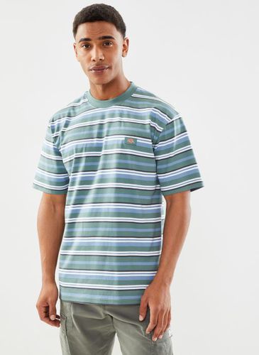 Vêtements Glade Spring tee SS Hrznt pour Accessoires - Dickies - Modalova