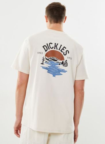 Vêtements Beach Tee SS pour Accessoires - Dickies - Modalova