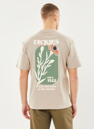 Vêtements Herndon Tee SS pour Accessoires - Dickies - Modalova