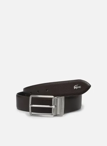 Ceintures Elegance Maroquinerie pour Accessoires - Lacoste - Modalova