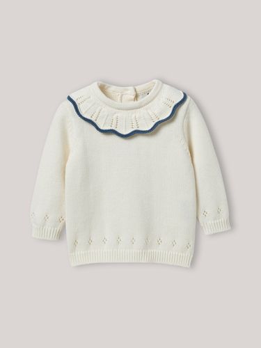 Pull à collerette en coton biologique et laine Bébé - Cyrillus - Modalova