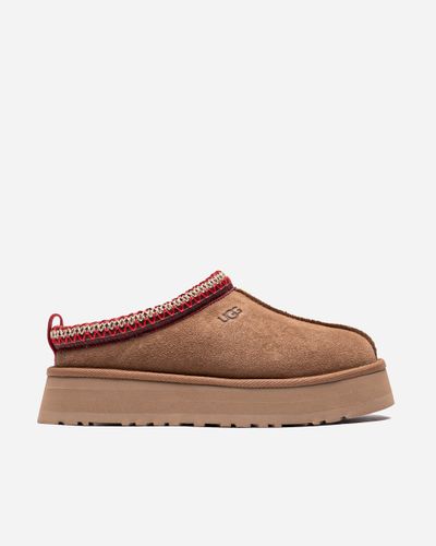 Tazz Shoes | NAKED Copenhagen 41 - Chestnut - UGG - Modalova