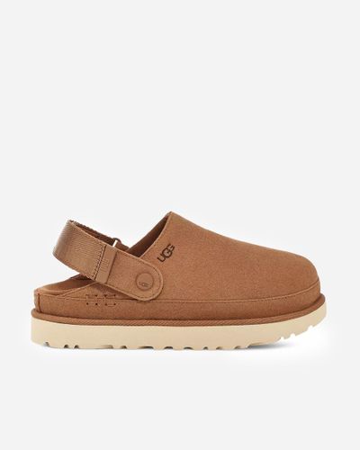 Goldenstar Clog | | footwear 42 - CHESTNUT - UGG - Modalova