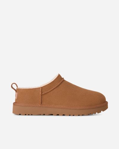 Classic Micro | Brun | Taille: 36 - Ugg - Modalova