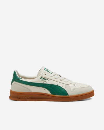 Indoor OG 36 - Frosted Ivory-Vine - Puma - Modalova