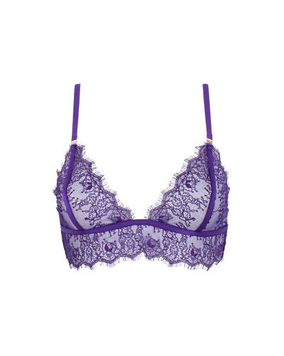 Soutien-Gorge Doux Grace Heliotrope - Bluebella - Modalova