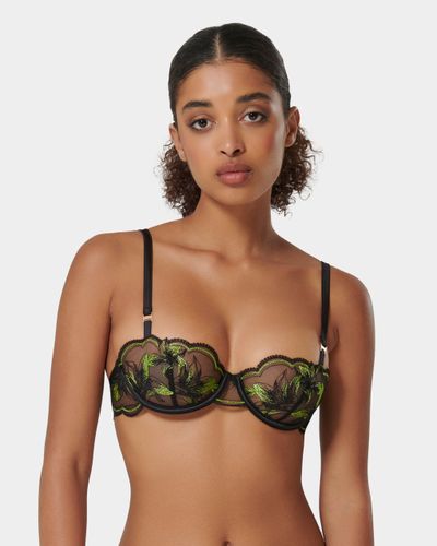Coppelia Eco Bra Black/Tender Shoots - Black / 30A - Bluebella - Modalova