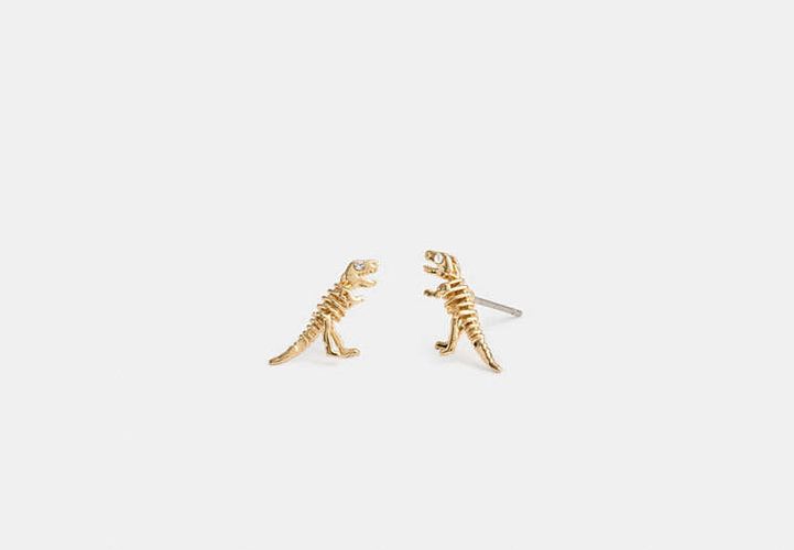 Boutons D'oreilles Rexy Squelette - COACH - Modalova