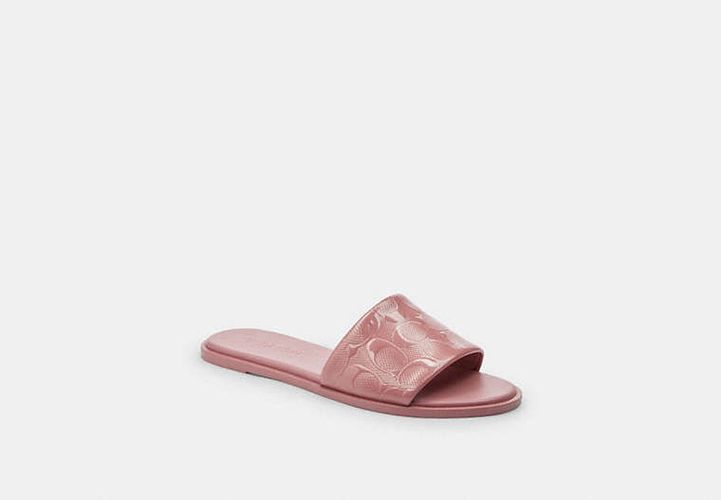 Sandale Holly en cuir exclusif - COACH - Modalova