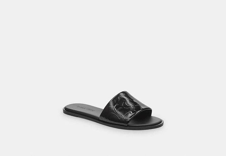 Sandale Holly en cuir exclusif - COACH - Modalova